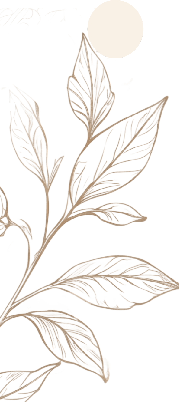 Decorative Plant